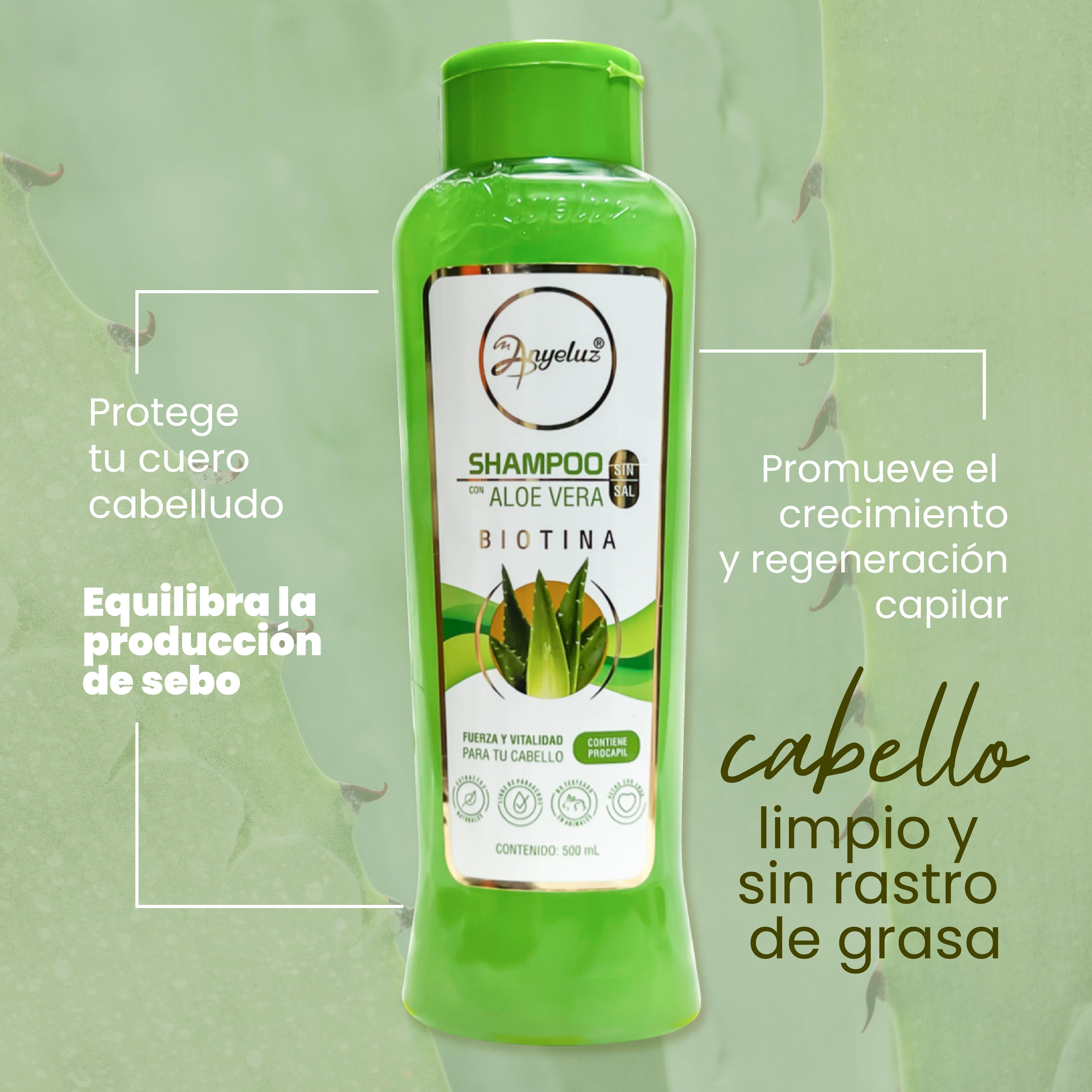 SHAMPOO ALOE VERA ANYELUZ - Image 3