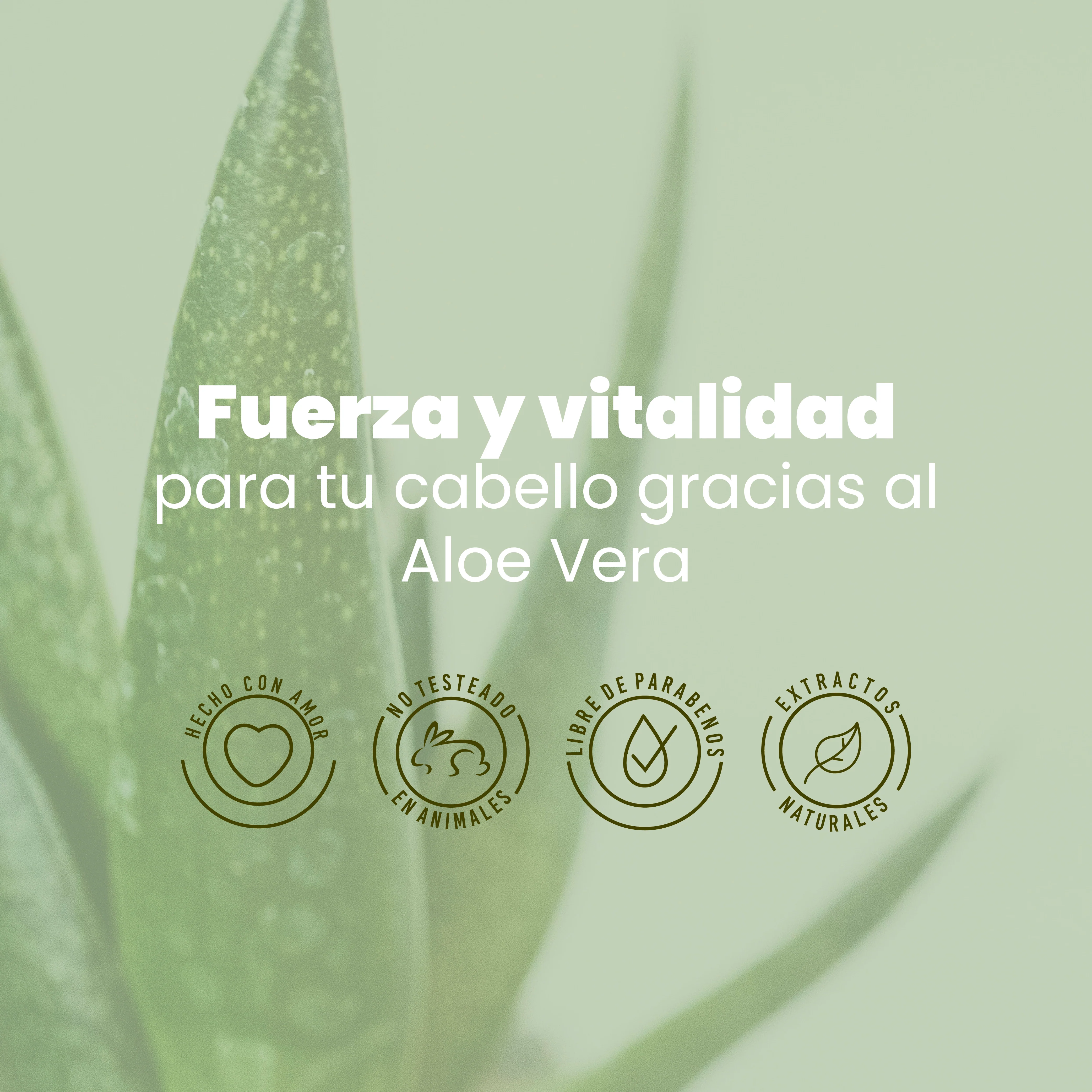 SHAMPOO ALOE VERA ANYELUZ - Image 4