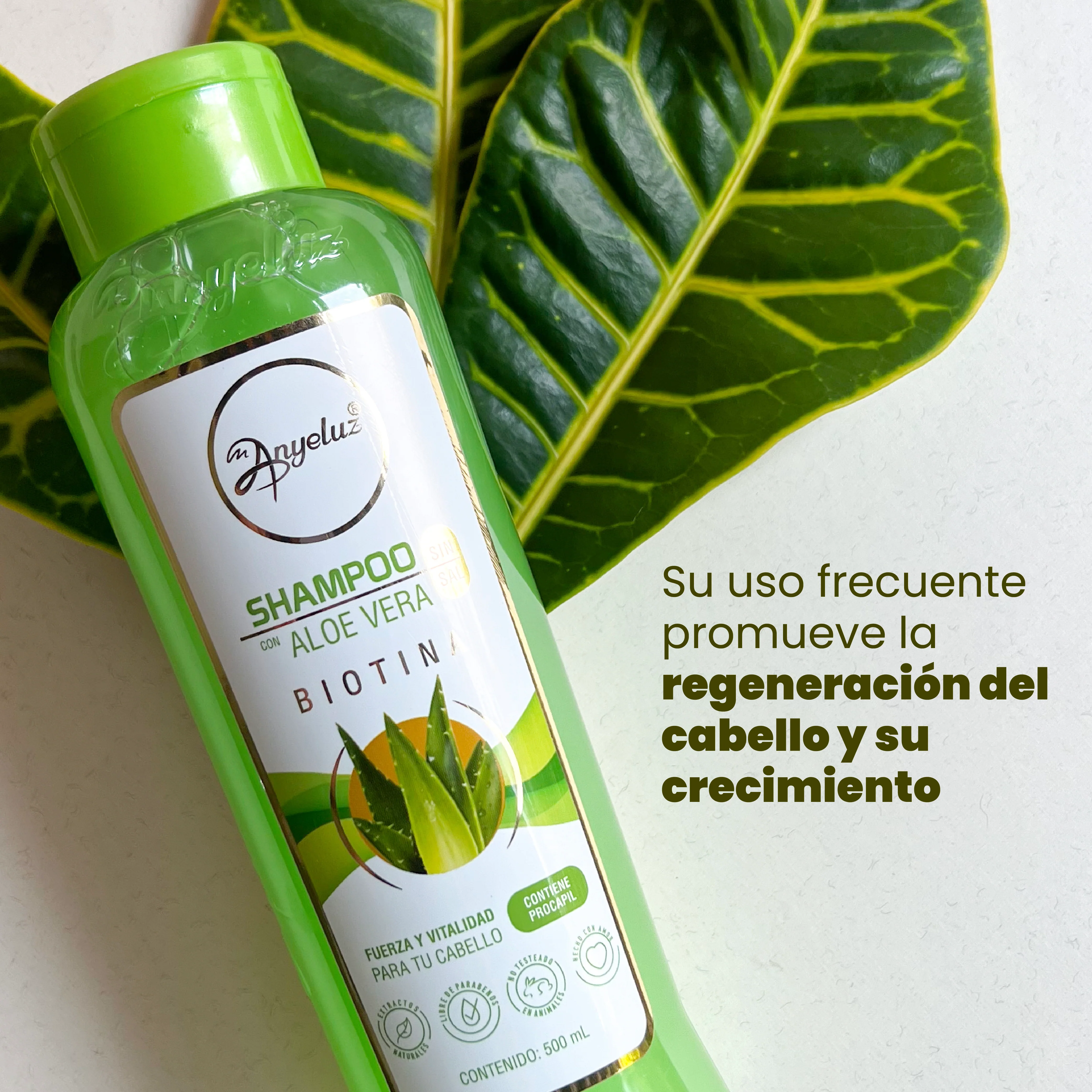 SHAMPOO ALOE VERA ANYELUZ - Image 5