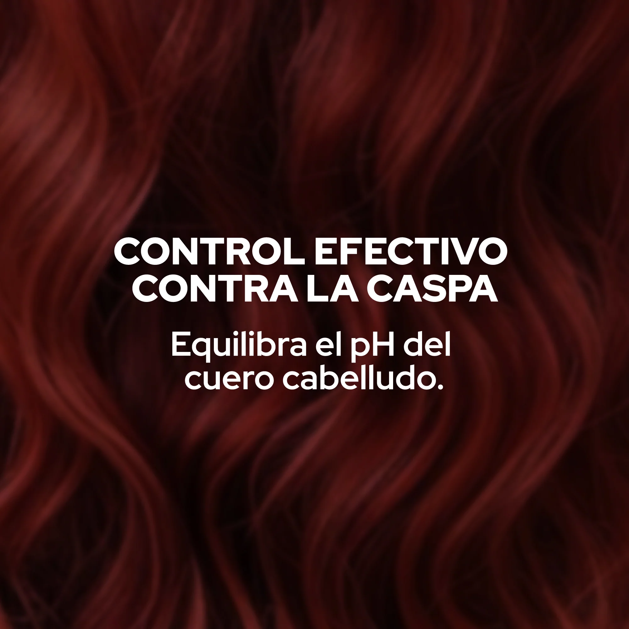 SHAMPOO ANTICASPA - Image 3