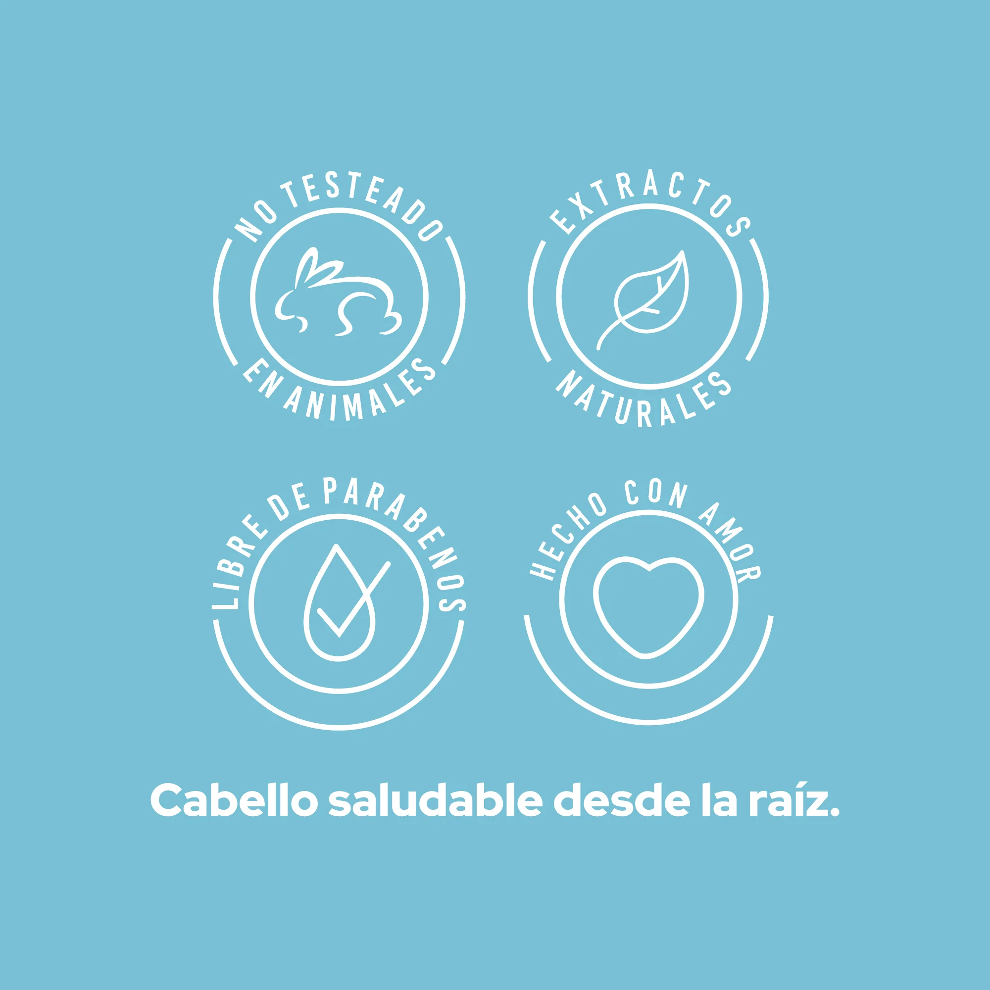 SHAMPOO ANTICASPA - Image 5