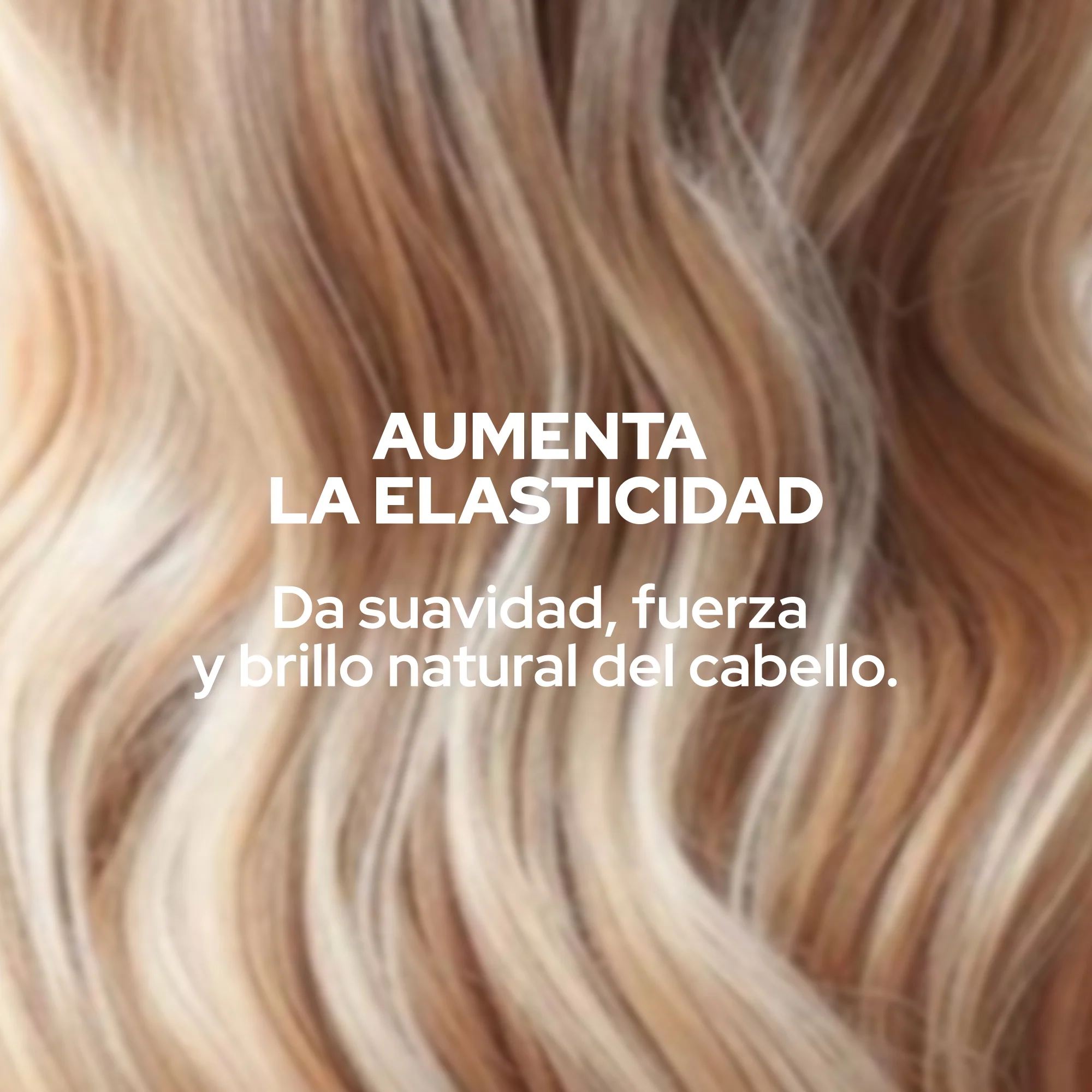 SHAMPOO GUSANO DE SEDA ANYELUZ - Image 3