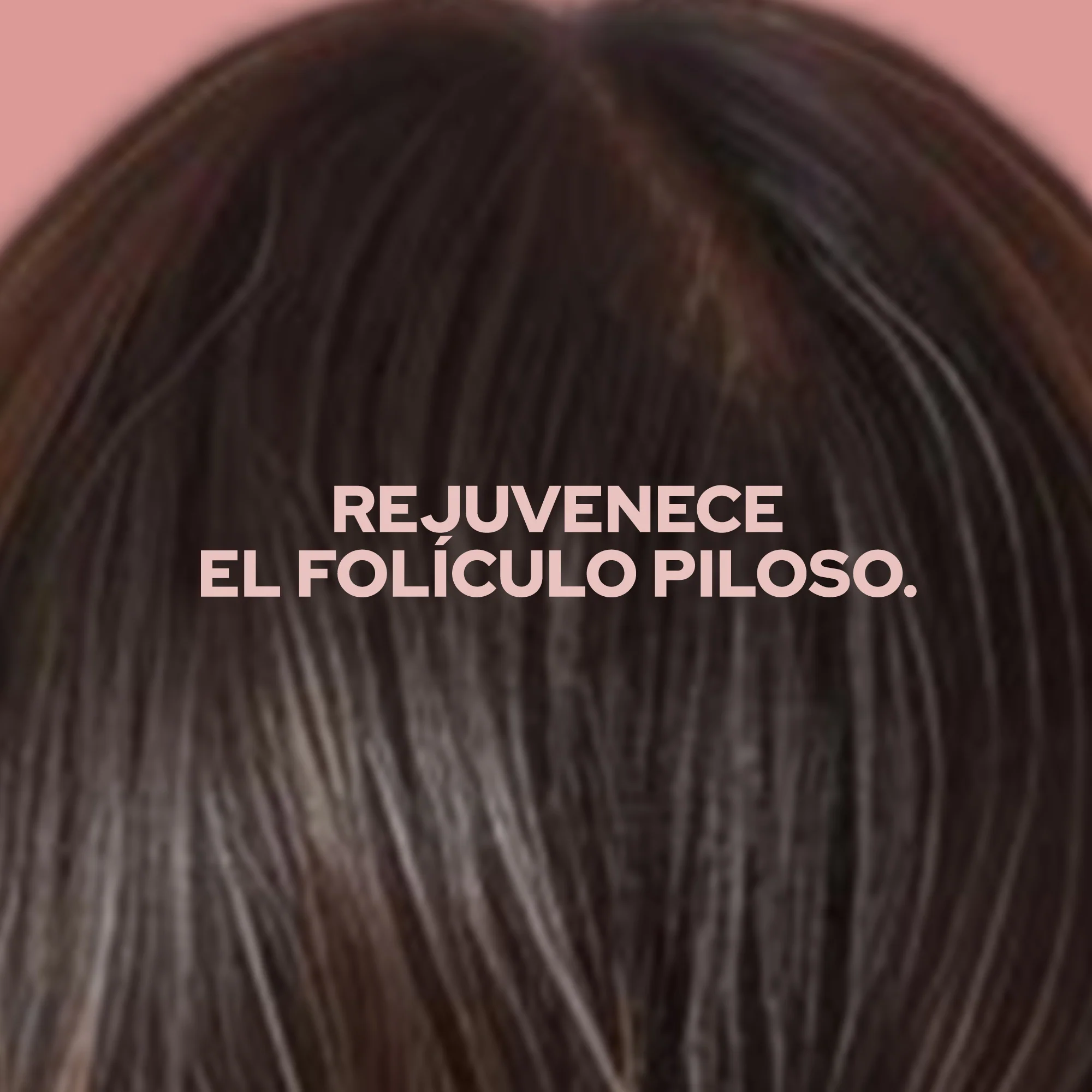 TÓNICO ANTICAÍDA Y ANTICASPA - Image 3